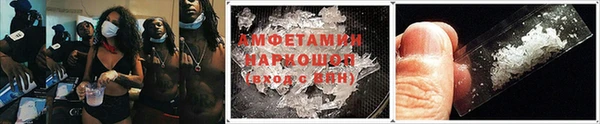 стаф Верея