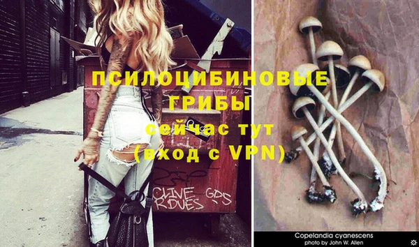 стафф Бронницы