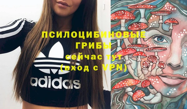 гидра Верхнеуральск
