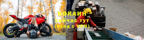 гидра Верхний Тагил