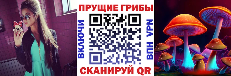 Купить  Дубна  Псилоцибиновые грибы Psilocybe 